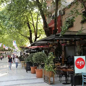 Millenium Albanie